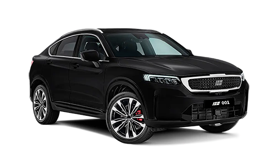 Knewstar 001 2.0 AT 4WD Flagship Sport