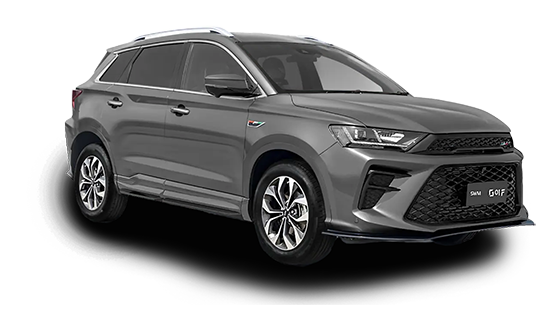 SWM G01F 1.5T DCT Force